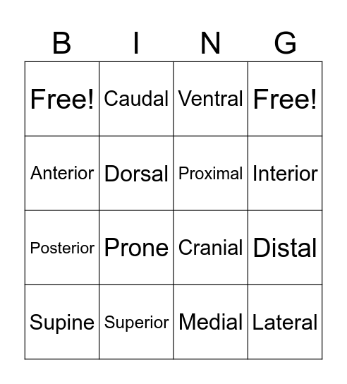 Directional Terms Bingo Card