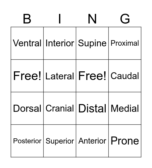Directional Terms Bingo Card