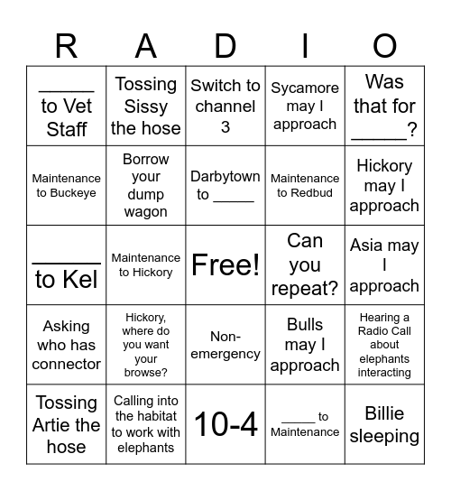 NZKW Radio Bingo Card