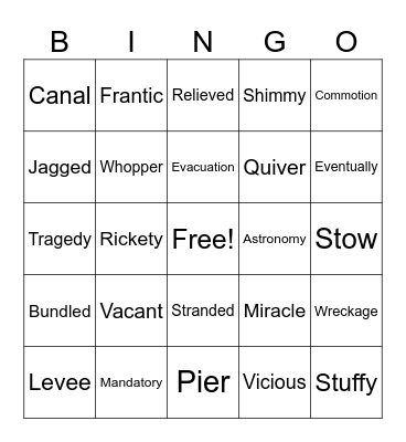 I Survived Hurricane Katrina Bingo Card