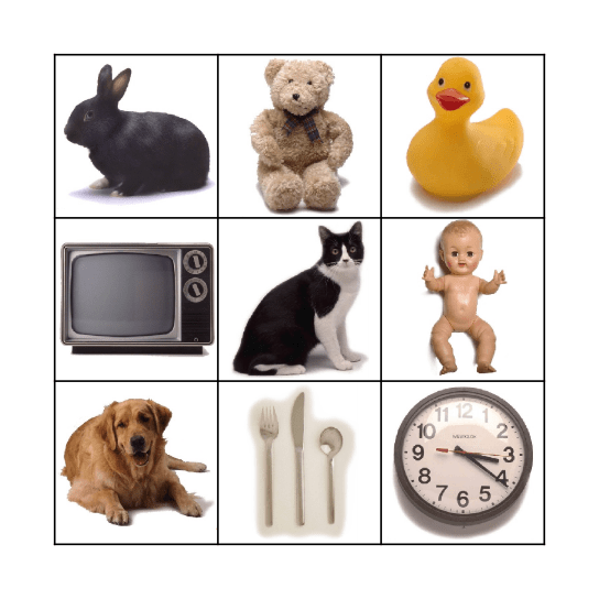 Close Up Bingo Card
