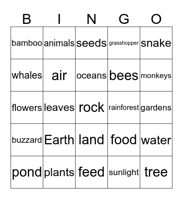 Wonderful  Ecosystems Bingo Card
