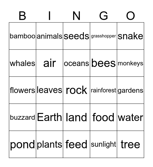 Wonderful  Ecosystems Bingo Card