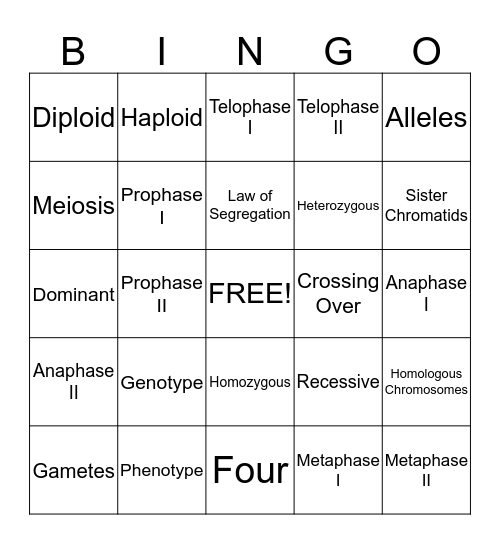 Chapter 10 Bingo: Mendel and Meiosis Bingo Card
