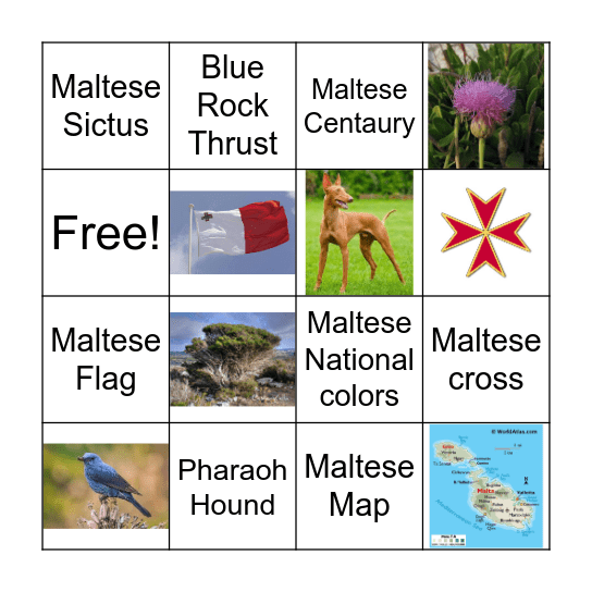 Malta National Symbols Bingo Card