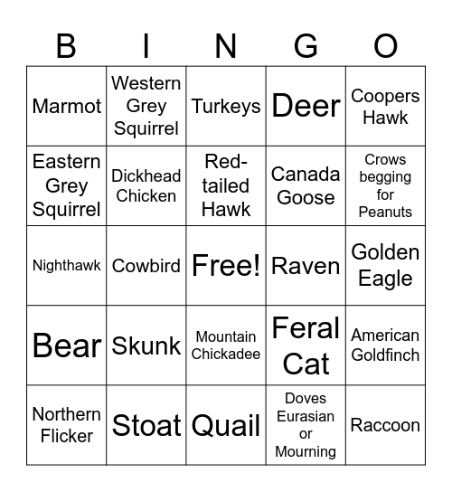 Backyard Wildlife Bingo Card