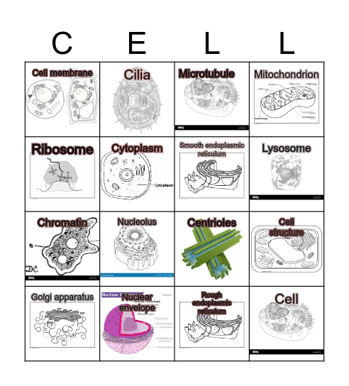 Cell Bingo!!! Bingo Card