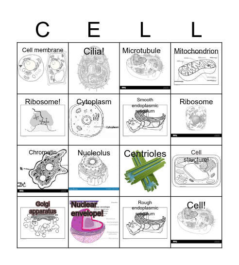 CELL BINGO!!! Bingo Card