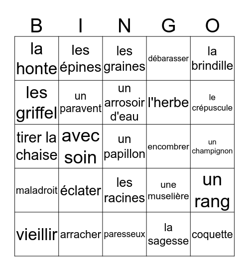 Fr 4 - Le Petit Prince Chap 4- 8  Bingo Card