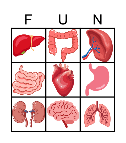 Human Organs Bingo Card