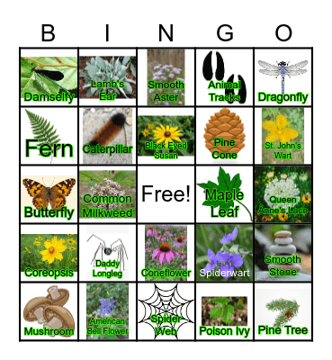 Nature Walk Bingo Card