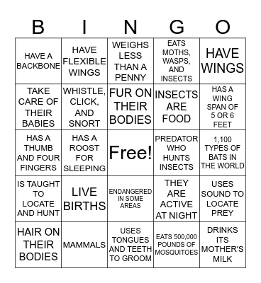 BATTY BINGO Card