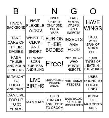 BATTY BINGO Card