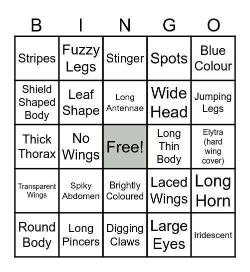 Bug Bingo Card