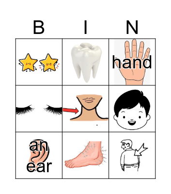 Die Körperteile Bingo Card