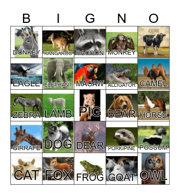 ANIMAL Bingo Card