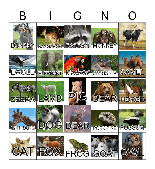 ANIMAL Bingo Card