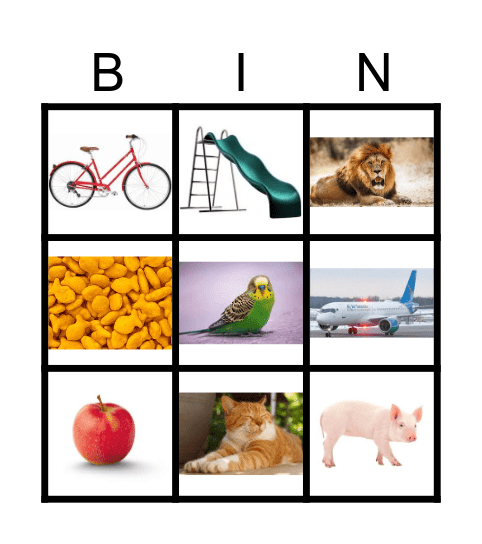 Common Objects Bingo Card