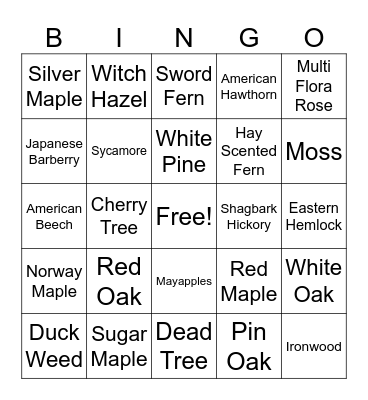 Tree Bingo Card