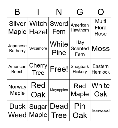 Tree Bingo Card