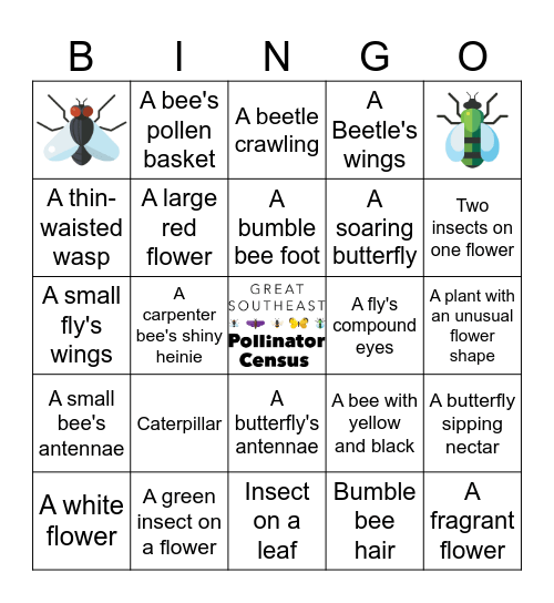 Great Southeast Pollinator Census Bingo Card