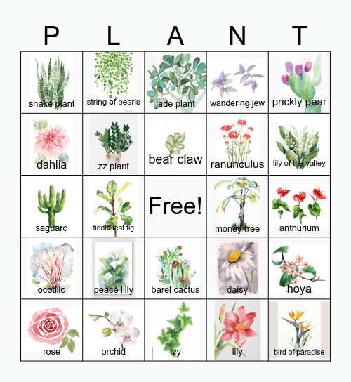 Plants Bingo Card