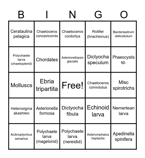 Microrganism Bingo Card