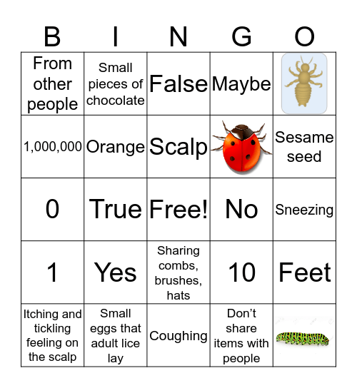 Head Lice Bingo Card