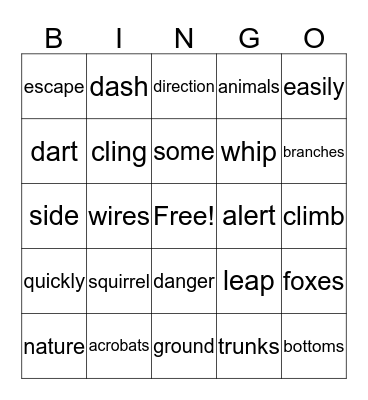 Squirrel Acrobats Bingo Card