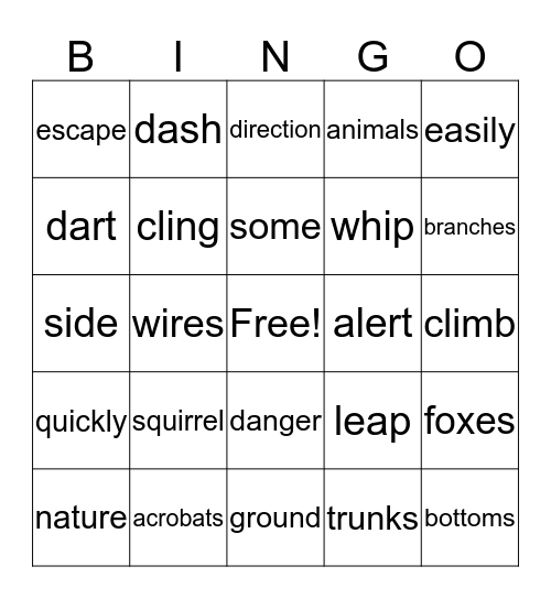 Squirrel Acrobats Bingo Card