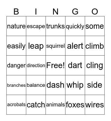 *Squirrel Acrobats* Bingo Card