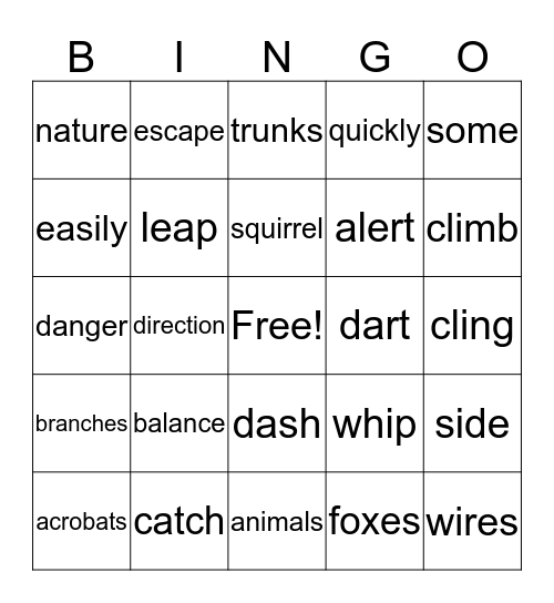 *Squirrel Acrobats* Bingo Card