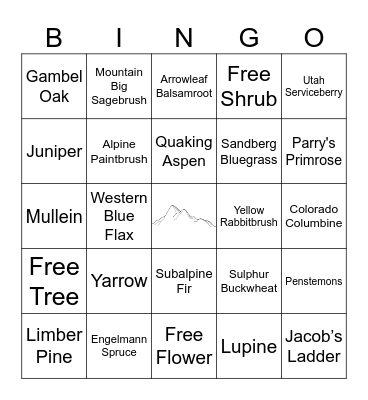 Nature Hike Bingo Card