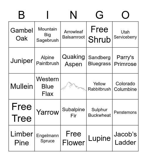 Nature Hike Bingo Card