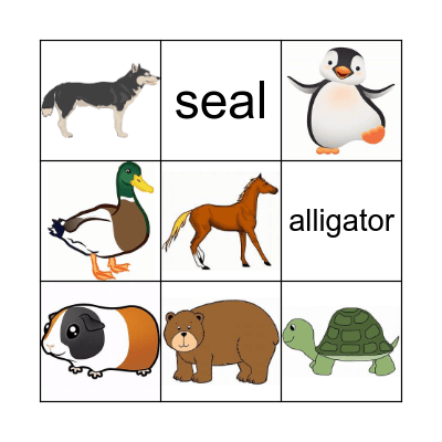 Animals Bingo Card