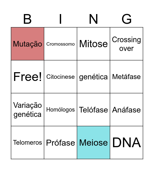Divisão celular Bingo Card