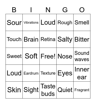 5 senses Bingo Card