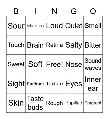 5 senses Bingo Card