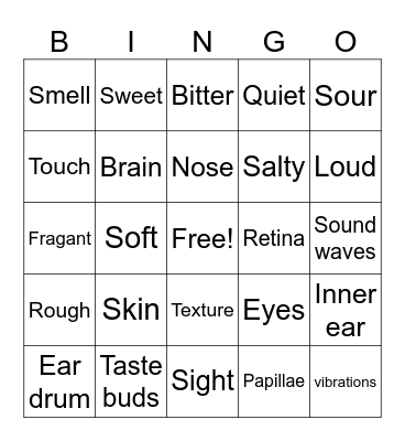 5 senses Bingo Card