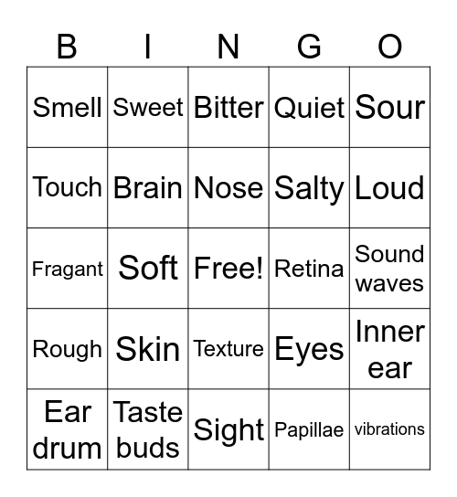 5 senses Bingo Card