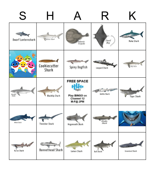 SHARK BINGO Card
