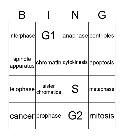 mitosis Bingo Card