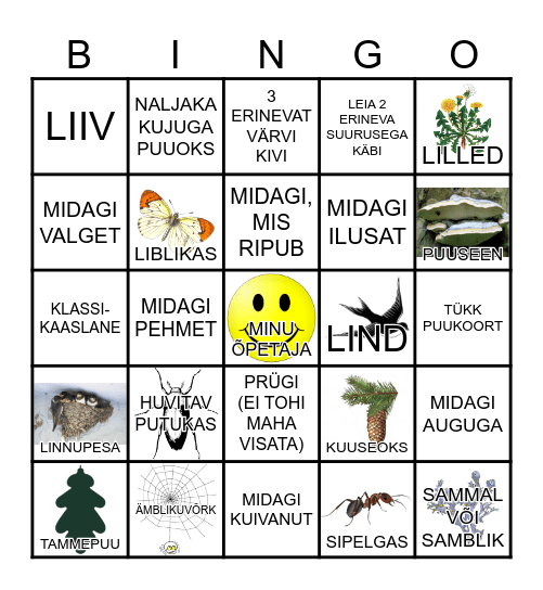 Looduse Bingo Card