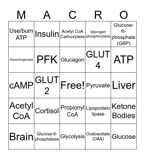 MACRO! Bingo Card