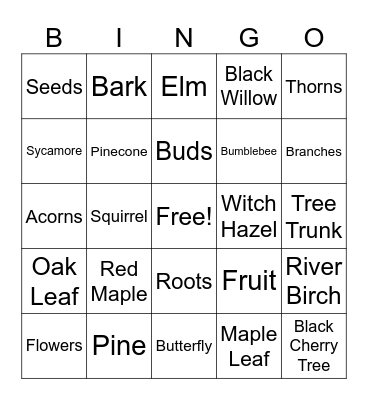 Tree Identification Bingo! Bingo Card