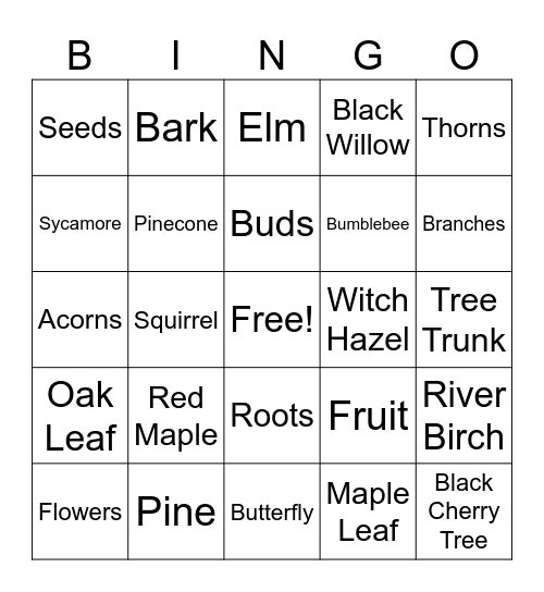 Tree Identification Bingo! Bingo Card