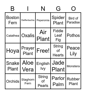 Houseplant Bingo 3 Bingo Card
