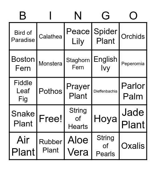 Houseplant Bingo 3 Bingo Card