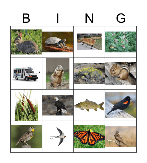 Two Ponds Bingo! Bingo Card