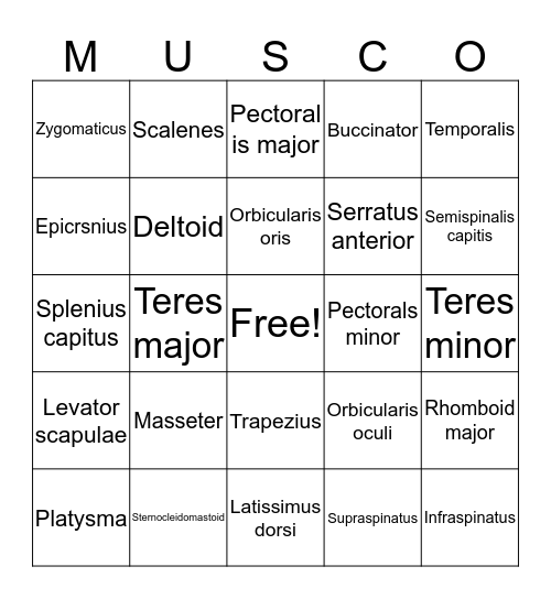 Muscles Bingo Card
